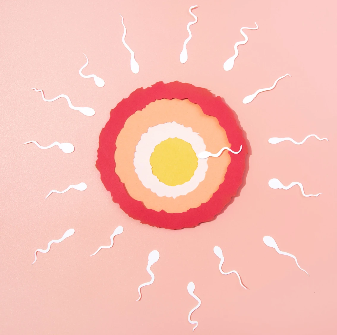 taking BBT and LH test to track ovulation cycle