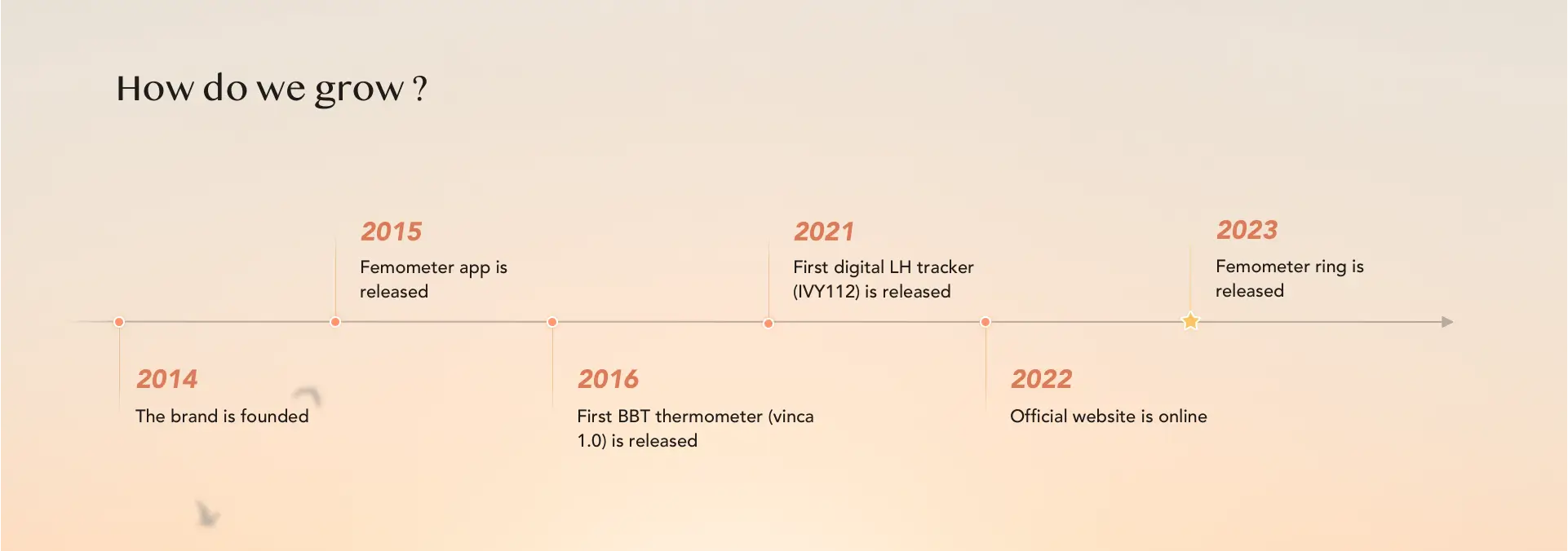 Femometer History